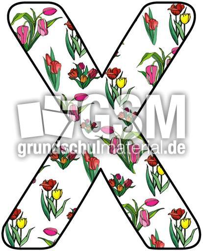 Tulpen-Buchstabe-X.jpg
